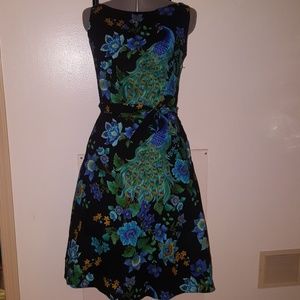 Heart of Haute Peacock Blue Dress L